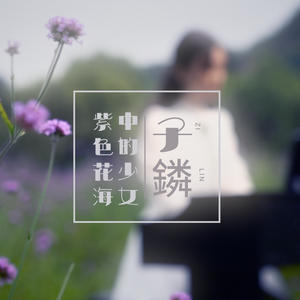 紫色花海中的少女