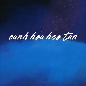 canh hoa heo tan（越南鼓）