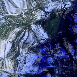 纯粹的爱它却消失了