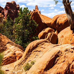 过年了整点新发型