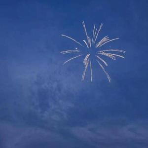 不是因为寂寞才想你