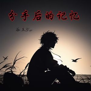分手后的记忆