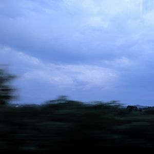 ForGo(Prod.Siren&WUJIE&Lilcci)