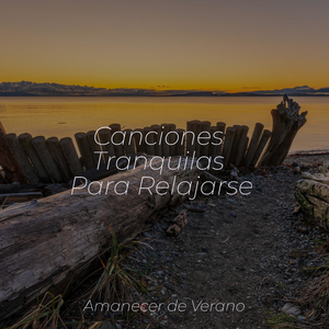 Persiguiendo Sueños de Atardecer