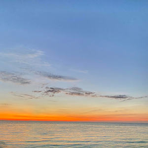 มือใหม่หัดขับ