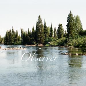 Observer