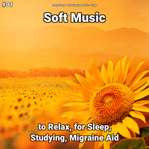 Soft Music Pt. 85
