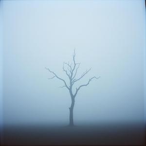 네가 없는 게 익숙해질까