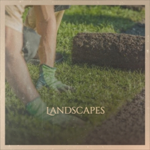 Landscapes