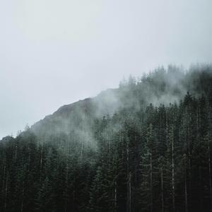 vihaa mua ↷ ambient murmur pad