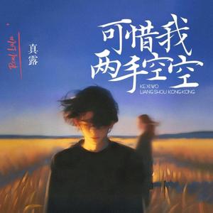 可惜我两手空空