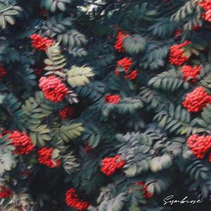 Karlcheninterlude (feat. Hennessy Yo)