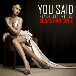 You Said (Never Let Me Go)