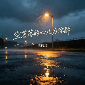 空落落的心儿为你醉