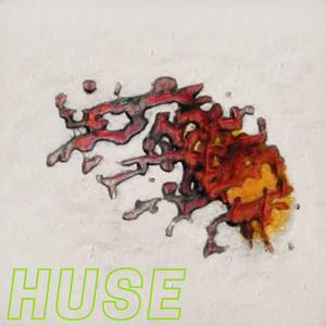 Huse
