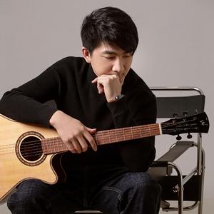 老鹰乐队《加州旅馆》Hotel California（吉他指弹-张紫宇）