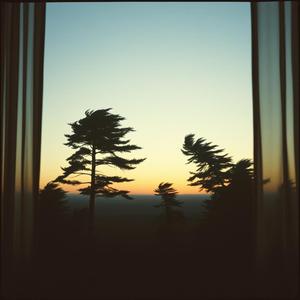 Where Does the Wind Go