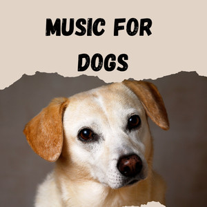 Music For Dogs Peace