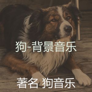 睡觉的小狗(梦)