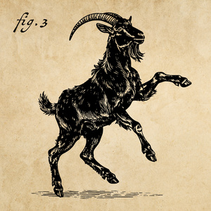 Qué Feo, Mateo (4:1)