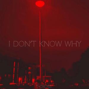 I don't know why (feat. Victor Beng)