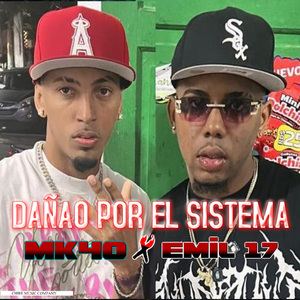 Dañao por el Sistema