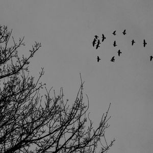 我想和你吃个饭（翻自 林啟得）