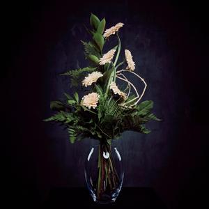 Ich geh morgen vielleicht nach Italien. (2023)