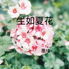 是我太软弱 (DJ版)