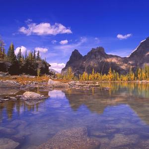 现在只渴望你会来爱我