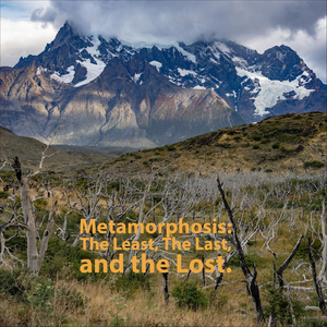 Microplastics (Pacific Ocean)