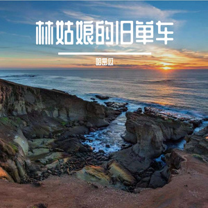 林姑娘的旧单车