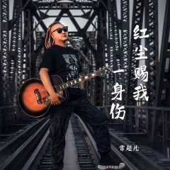 红尘赐我一身伤 (DJ版)