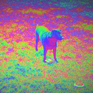 Nostalgia is Only Good In Small Amounts