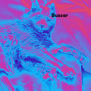 Buscar
