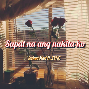 Sapat Na Ang Nakita Ko