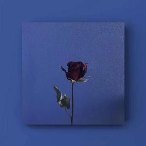 还是会想你(女生版）（翻自 无）