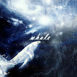 whale(鲸)