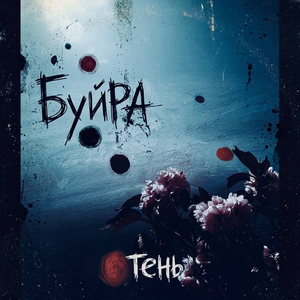 Тень