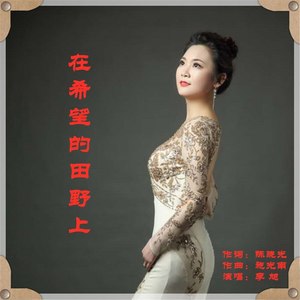 在希望的田野上