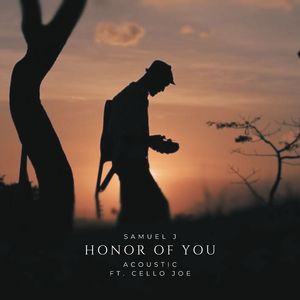 Honor of You (Acoustic Rework Instrumental)