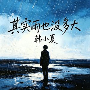 其实雨也没多大(DJ高赞版)(变速版)-韩小夏+DJsure