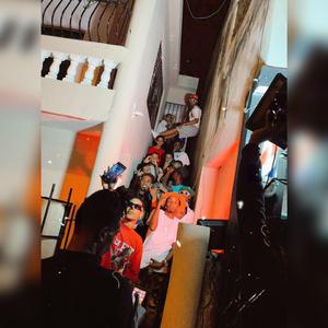 (QUE SE TIREN) habacurd x Sadan Dejen Su Can x La Yama