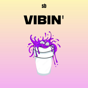 VIBIN'