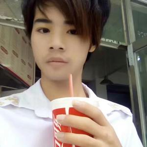 飞鸟和蝉（翻自 邹子鹏）