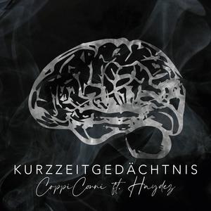 Kurzzeitgedächtnis (feat. Haydez)