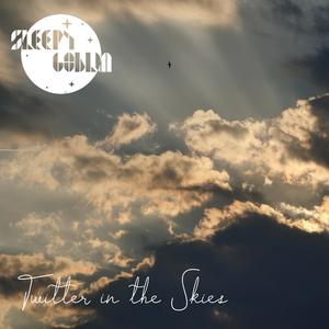 Twitter in the Skies