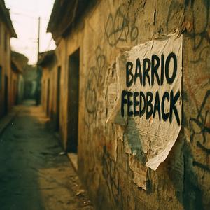 Barrio Feedback