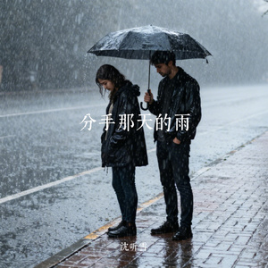 分手那天的雨