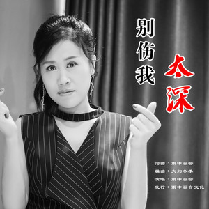 别伤我太深 (伴奏)